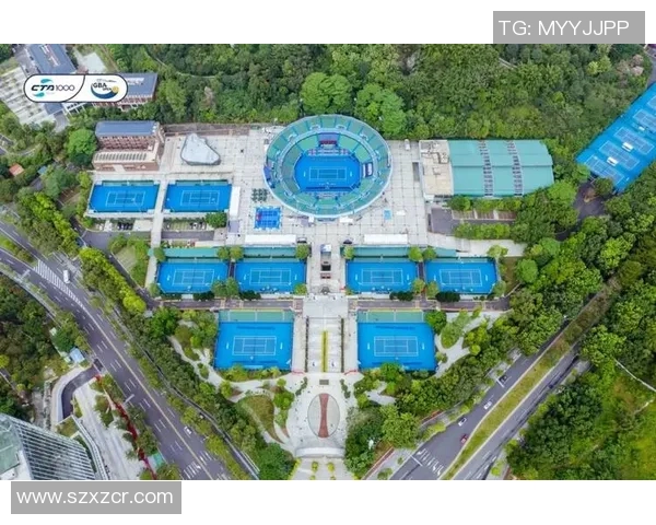 广州网球队在世界锦标赛中的技术表现分析与点评