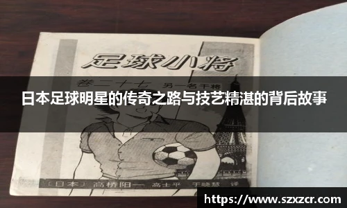 星空·综合体育官方网站