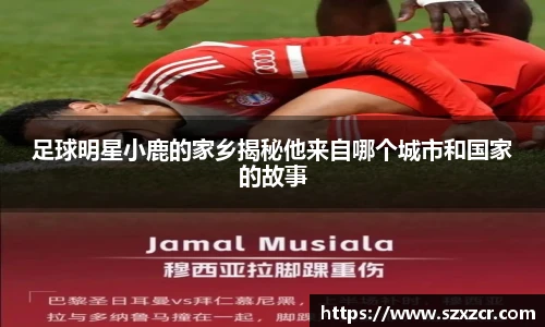 星空·综合体育中国官方网站